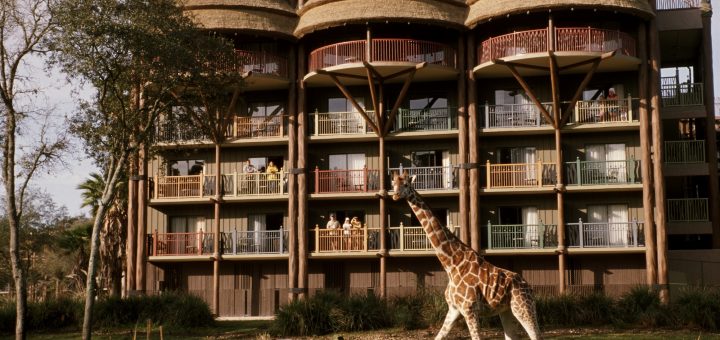 Disney’s Animal Kingdom Lodge&nbsp;Resort