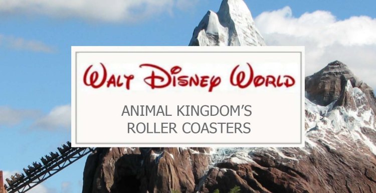 Walt Disney World: Animal Kingdom’s Roller&nbsp;Coasters
