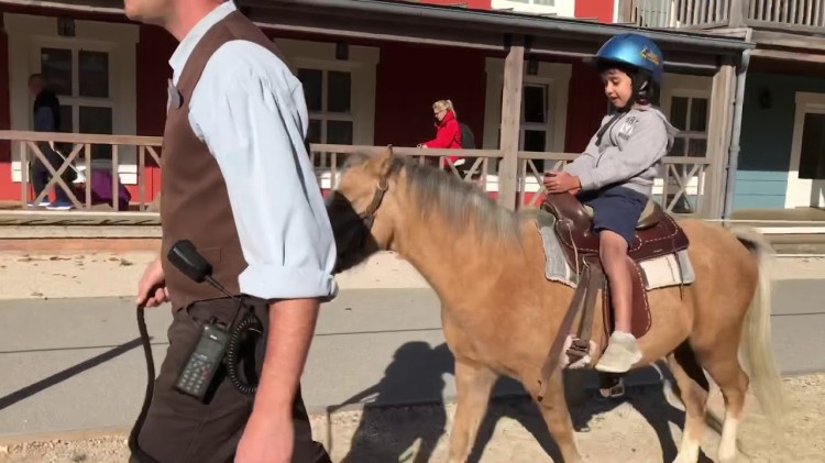 Pony Rides at Disneyland&nbsp;Paris